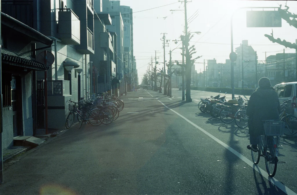 写真アーカイブ #44869