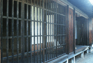 アルバム「井月記」の写真 (10364)