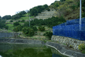 アルバム「湯浅・広川・黒江散歩」の写真 (10671)