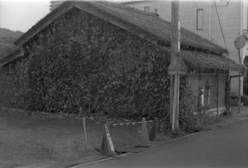 アルバム「加茂散歩」の写真 (10682)