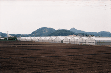 アルバム「韮山散歩」の写真 (10696)