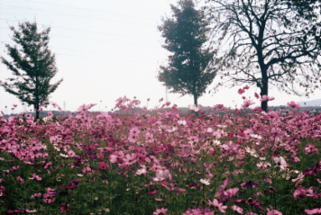 アルバム「くつのあと」の写真 (10888)