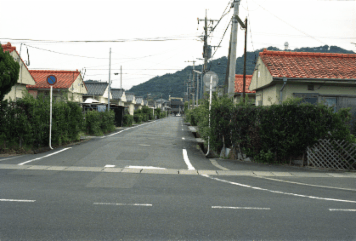 アルバム「坊津まで」の写真 (11272)