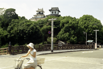 アルバム「街道にゆく」の写真 (11375)