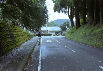 アルバム「坊津まで」の写真 (11455)