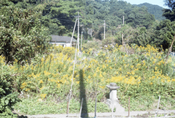 アルバム「くつのあと」の写真 (11611)