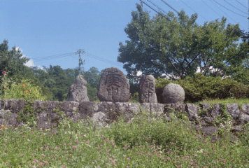 アルバム「井月記」の写真 (11666)