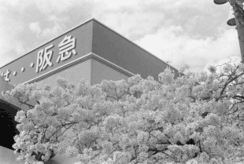 アルバム「大坂細見」の写真 (11821)