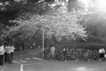 アルバム「名張・松阪散歩」の写真 (11897)