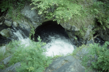 アルバム「南山城散歩」の写真 (11916)