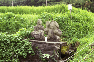 アルバム「坊津まで」の写真 (11939)