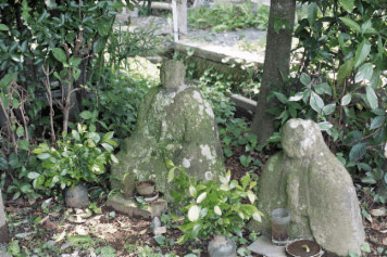 アルバム「韮山散歩」の写真 (12032)