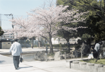 アルバム「大坂細見」の写真 (1213)