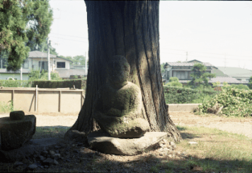 アルバム「みちのおく」の写真 (12136)