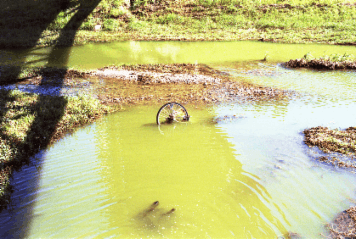 アルバム「赤穂散歩」の写真 (12508)