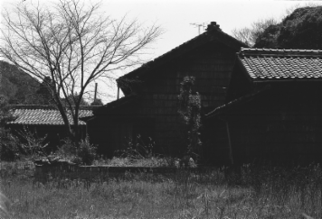 アルバム「知多散歩」の写真 (12545)