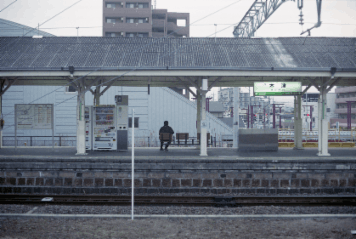 アルバム「奈良散歩」の写真 (12700)