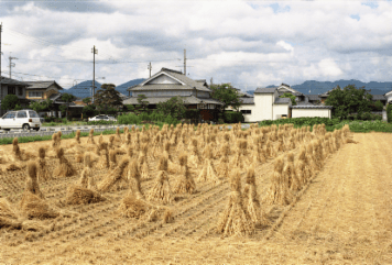 アルバム「多賀参行」の写真 (1284)