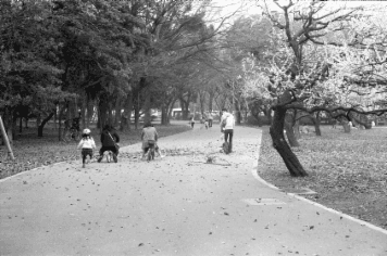 アルバム「大江戸細見」の写真 (12854)