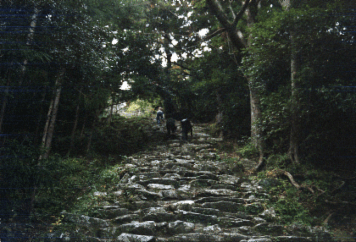 アルバム「南紀行」の写真 (12916)