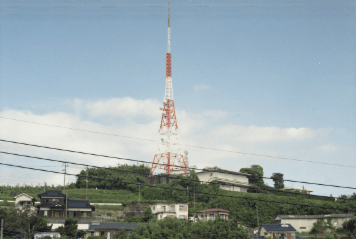 アルバム「坊津まで」の写真 (1292)