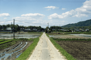 アルバム「南山城散歩」の写真 (12985)