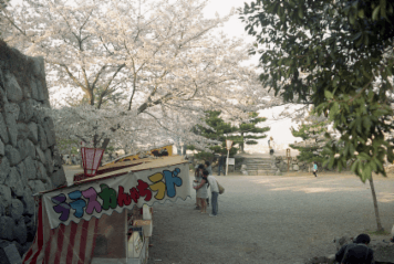 アルバム「名張・松阪散歩」の写真 (13099)