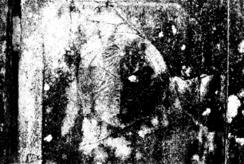 アルバム「参州行」の写真 (13162)