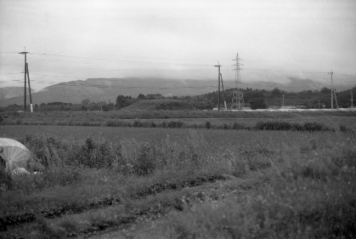 アルバム「日向白樺散歩」の写真 (13332)