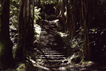 アルバム「山陰行記」の写真 (13543)