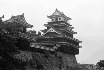 アルバム「坊津まで」の写真 (13588)