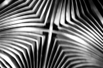 アルバム「大坂細見」の写真 (13625)