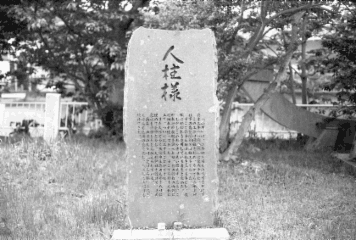 アルバム「日向白樺散歩」の写真 (1365)