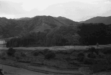 アルバム「奈良桜井散歩」の写真 (13698)