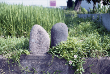 アルバム「みちのおく」の写真 (13750)
