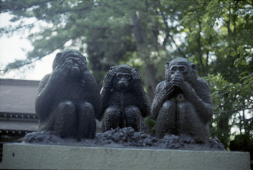 アルバム「みちのおく」の写真 (14317)