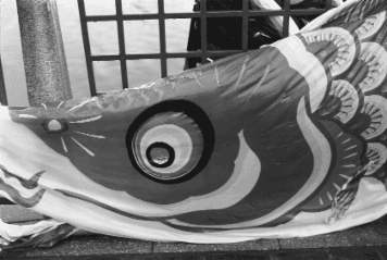 アルバム「知多散歩」の写真 (14391)