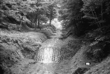 アルバム「井月記」の写真 (14447)