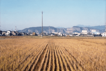 アルバム「大垣散歩」の写真 (14489)