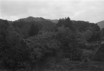 アルバム「奈良桜井散歩」の写真 (1472)