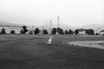 アルバム「みちのおく」の写真 (14852)