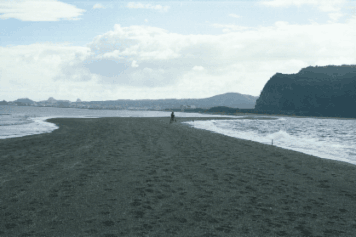 アルバム「坊津まで」の写真 (1504)