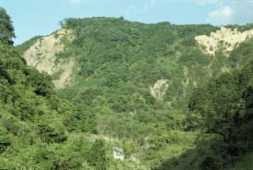 アルバム「南山城散歩」の写真 (15171)