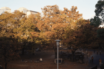 アルバム「大坂細見」の写真 (1519)