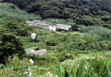 アルバム「坊津まで」の写真 (15300)