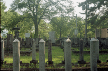 アルバム「井月記」の写真 (15386)