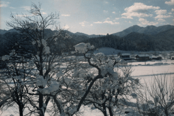 アルバム「高砂散歩」の写真 (15441)