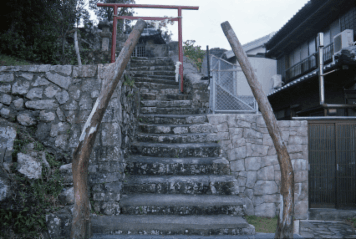 アルバム「南紀行」の写真 (15449)