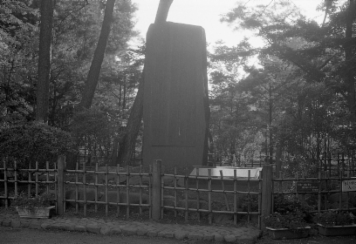 アルバム「みちのおく」の写真 (15806)