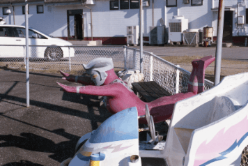 アルバム「南紀行」の写真 (15952)